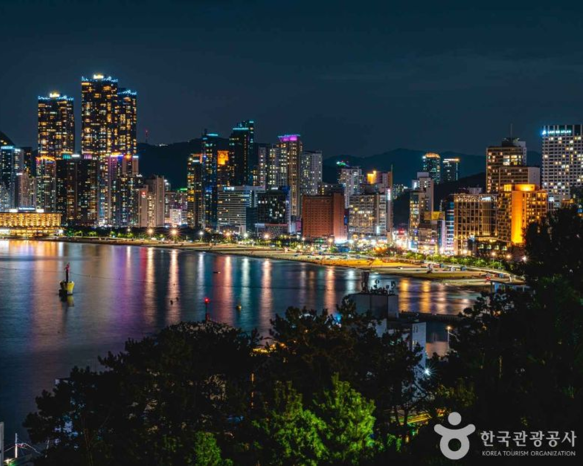 Daegu Airport↔Busan (Haeundae, Gwangalli) Shared Transfer Service