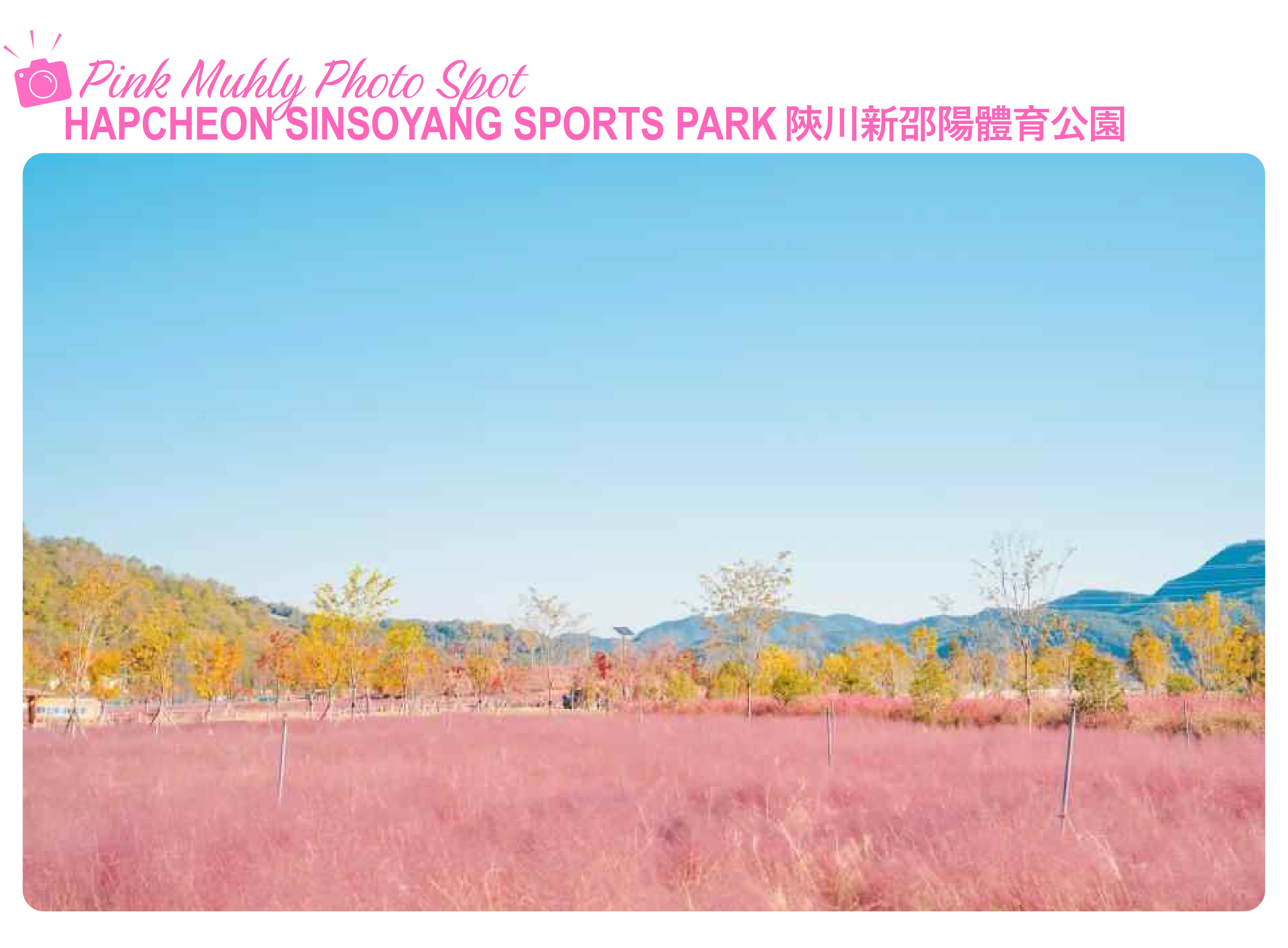 [From Busan] 2026 Jinju Lantern Festival & Pink Muhly Day Tour