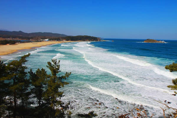 [From Seoul] Goseong Unification Observatory & Hwajinpo One-Day Tour