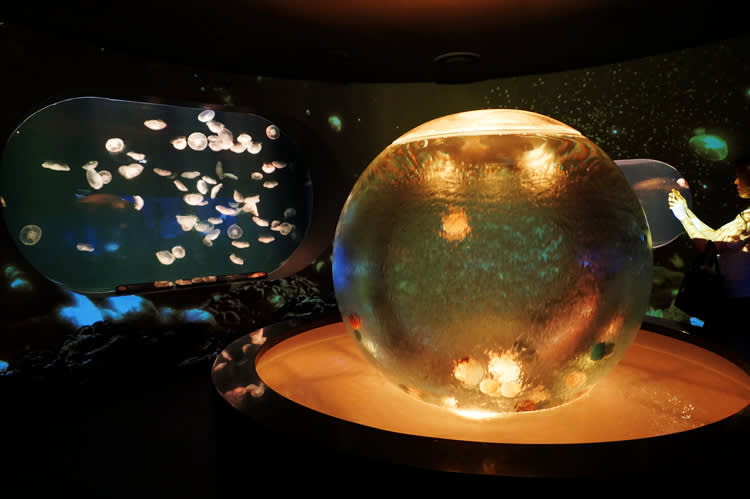 [ソウル]63ビル展望台(スカイアート)＋水族館(アクアプラネット)割引入場チケット