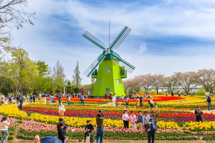 【釜山発】順天ハイライト日帰りツアー｜順天湾国家庭園・順天湾湿地・ワオン海辺サンセット・仙巌寺