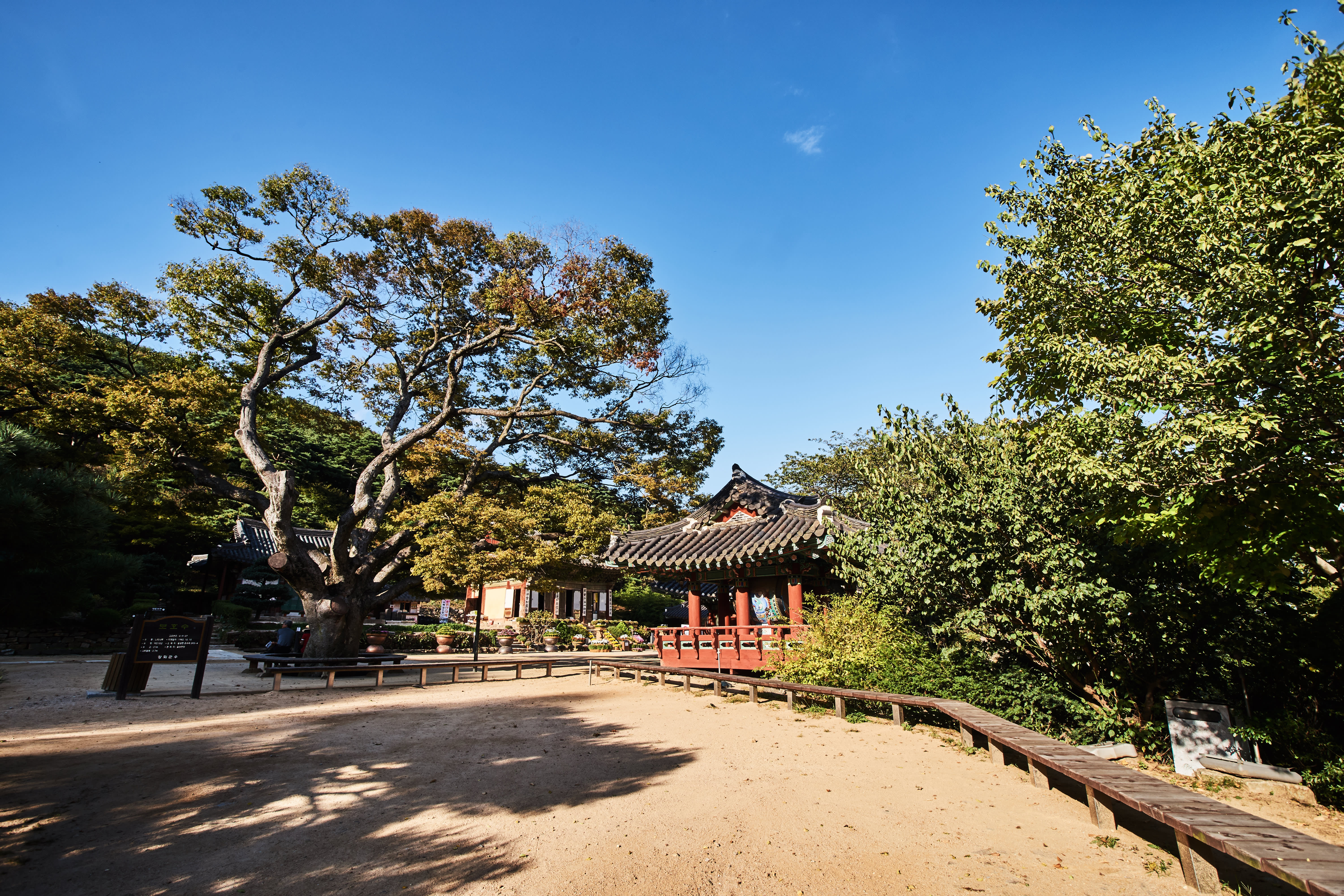 仁川、江华、松岛、月尾岛、永宗岛 9小时包车