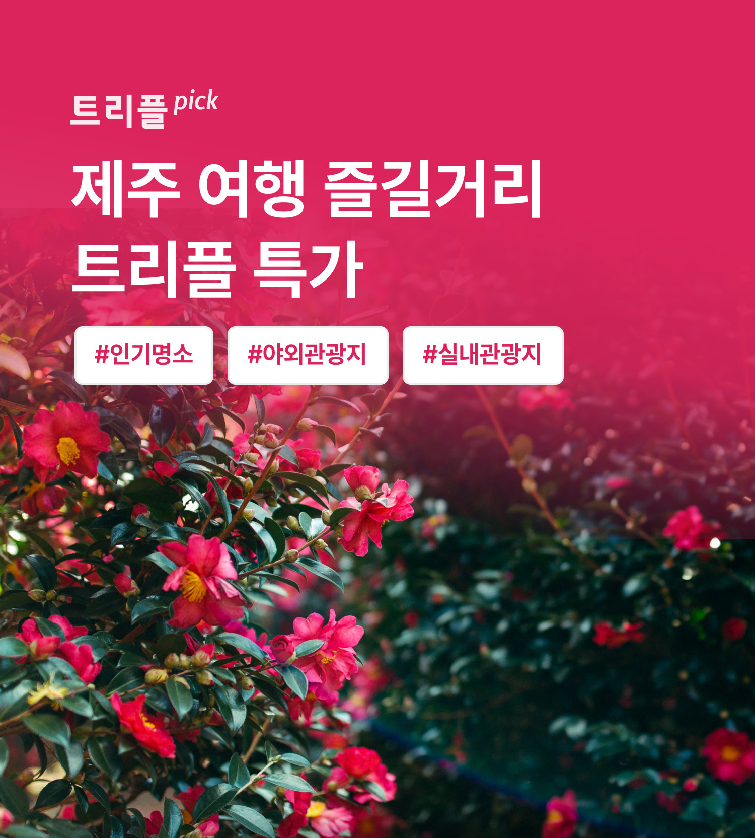 제주 여행 즐길거리 특가 - 트리플 투어티켓