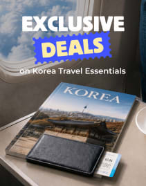 korea travel essentials